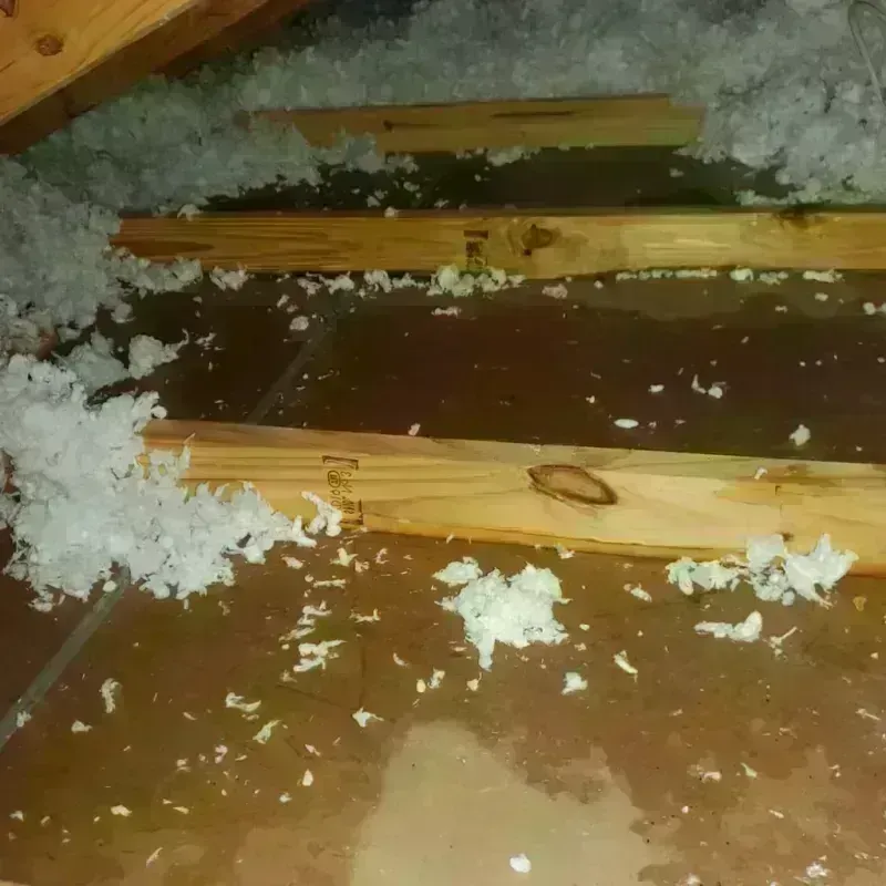 Attic Water Damage in Castleton, VT